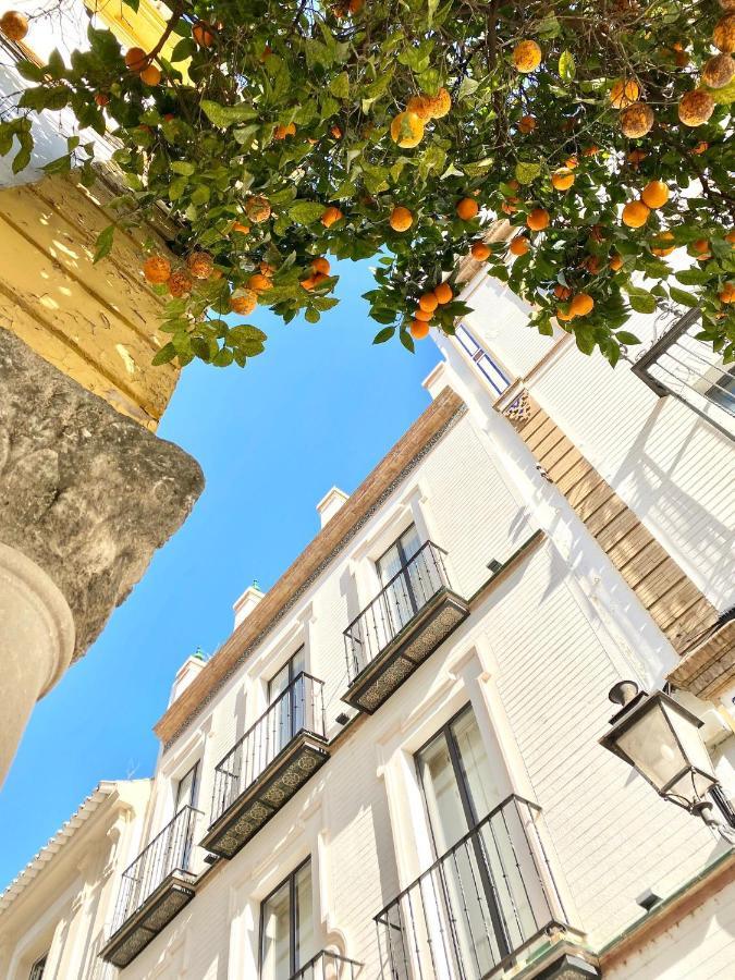 Magnificent Double Bedroom Apartment At Santa Cruz Siviglia Esterno foto